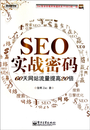 seo实战密码封面