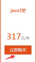 选择【Java1型】，点击【立即购买】按钮