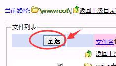 全选wwwroot文件夹文件