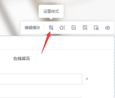 设置在线表单的显示效果